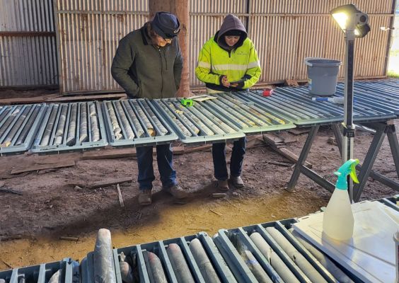 Geologist inspecting oriented diamond core for structural fault analysis in gold exploration.